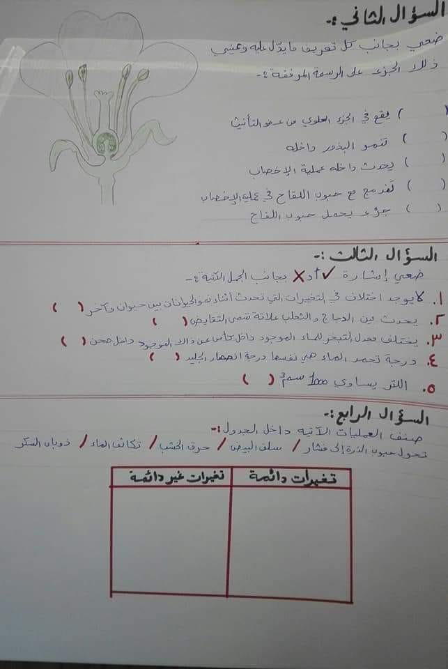 نموذج مصور اختبار العلوم النهائي للصف الرابع الفصل الاول 2019